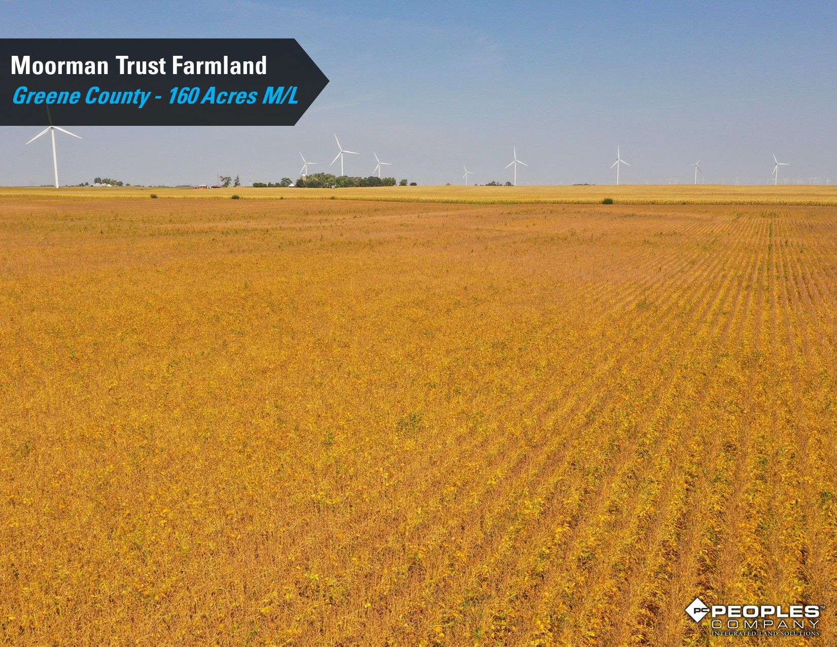 Listing Photo: Greene-County-Iowa-Farmland-Auction-160-Acres-Moorman-Rippey-IA-18618 (19)